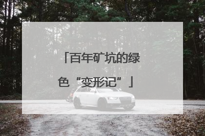 百年矿坑的绿色“变形记”
