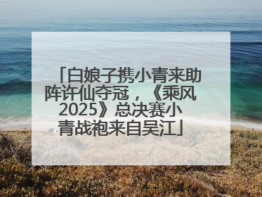 白娘子携小青来助阵许仙夺冠，《乘风2025》总决赛小青战袍来自吴江