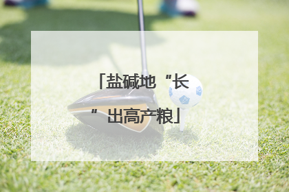 盐碱地“长”出高产粮