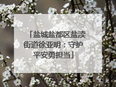 盐城盐都区盐渎街道徐亚明：守护平安勇担当