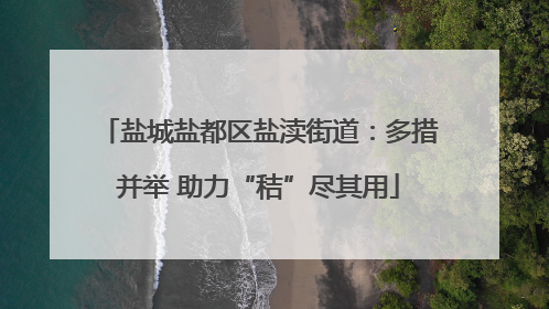 盐城盐都区盐渎街道：多措并举 助力“秸”尽其用