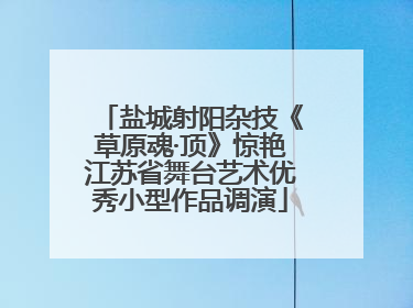 盐城射阳杂技《草原魂·顶》惊艳江苏省舞台艺术优秀小型作品调演