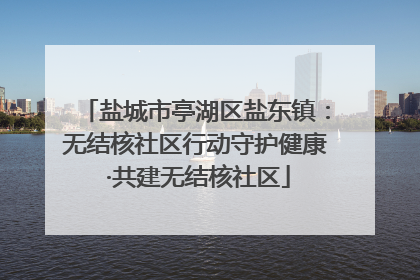 盐城市亭湖区盐东镇：无结核社区行动守护健康 ·共建无结核社区