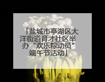 盐城市亭湖区大洋街道育才社区举办“欢乐粽动员”端午节活动