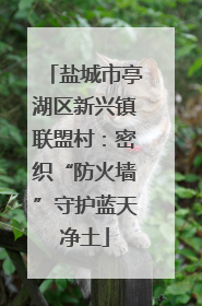 盐城市亭湖区新兴镇联盟村：密织“防火墙”守护蓝天净土