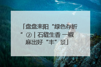 盘盘耒阳“绿色存折”②|石缝生香 一椒麻出好“丰”景