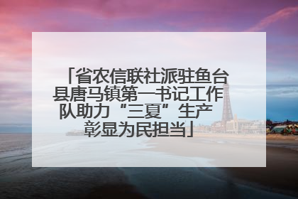 省农信联社派驻鱼台县唐马镇第一书记工作队助力“三夏”生产 彰显为民担当