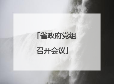 省政府党组召开会议