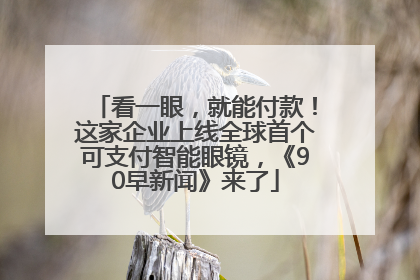 看一眼，就能付款！这家企业上线全球首个可支付智能眼镜，《90早新闻》来了