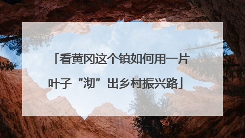 看黄冈这个镇如何用一片叶子“沏”出乡村振兴路