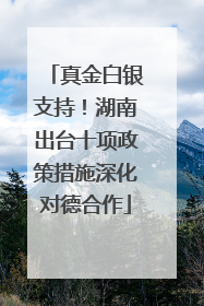 真金白银支持！湖南出台十项政策措施深化对德合作