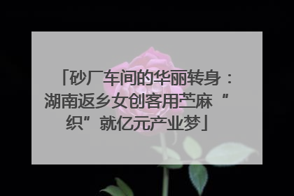 砂厂车间的华丽转身：湖南返乡女创客用苎麻“织”就亿元产业梦