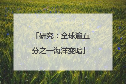 研究：全球逾五分之一海洋变暗