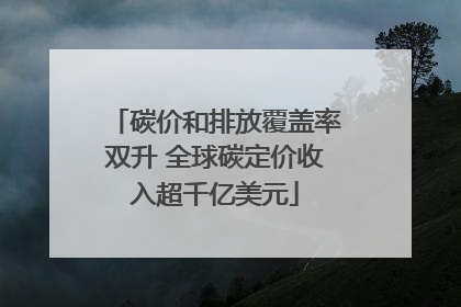 碳价和排放覆盖率双升 全球碳定价收入超千亿美元