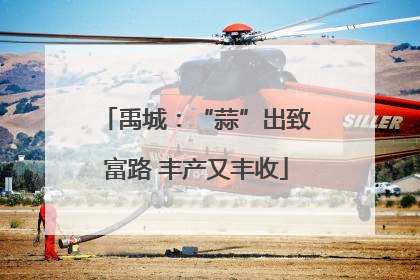 禹城：“蒜”出致富路 丰产又丰收
