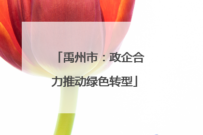 禹州市：政企合力推动绿色转型