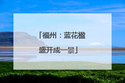 福州：蓝花楹盛开成一景