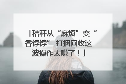 秸秆从“麻烦”变“香饽饽” 打捆回收这波操作太赚了！