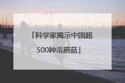 科学家揭示中国超500种毒蘑菇