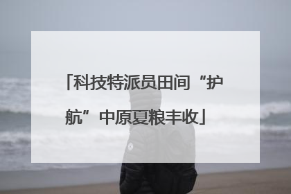 科技特派员田间“护航”中原夏粮丰收