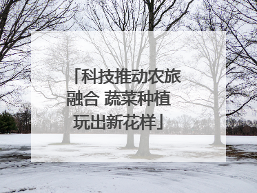 科技推动农旅融合 蔬菜种植玩出新花样