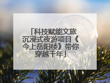 科技赋能文旅 沉浸式夜游项目《今上岳阳楼》带你穿越千年