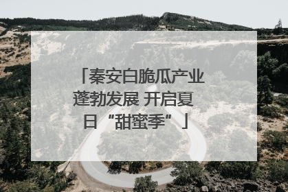 秦安白脆瓜产业蓬勃发展 开启夏日“甜蜜季”