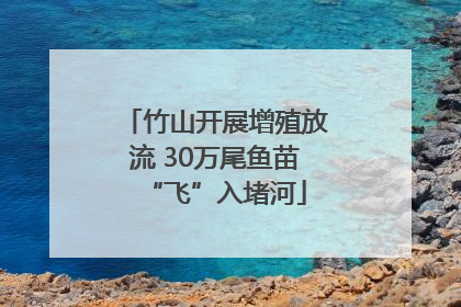 竹山开展增殖放流 30万尾鱼苗“飞”入堵河