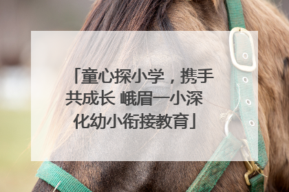 童心探小学，携手共成长 峨眉一小深化幼小衔接教育