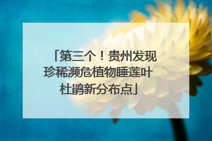 第三个！贵州发现珍稀濒危植物睡莲叶杜鹃新分布点