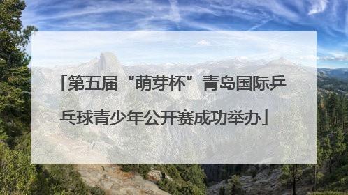 第五届“萌芽杯”青岛国际乒乓球青少年公开赛成功举办