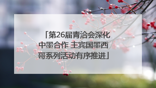 第26届青洽会深化中墨合作 主宾国墨西哥系列活动有序推进