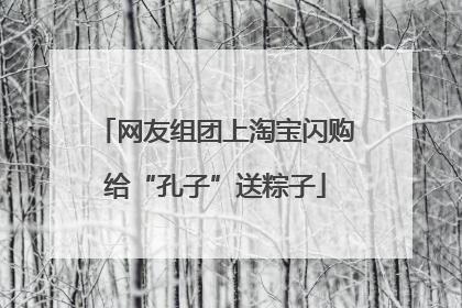 网友组团上淘宝闪购给“孔子”送粽子