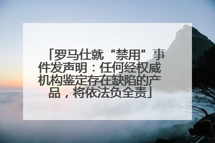 罗马仕就“禁用”事件发声明：任何经权威机构鉴定存在缺陷的产品，将依法负全责