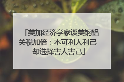美加经济学家谈美钢铝关税加倍：本可利人利己 却选择害人害己