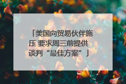 美国向贸易伙伴施压 要求周三前提供谈判“最佳方案”