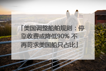 美国调整船舶规则：停靠收费或降低90% 不再苛求美国船只占比