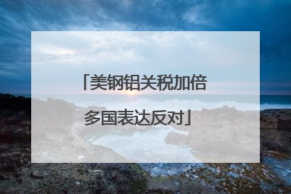 美钢铝关税加倍 多国表达反对