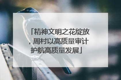 精神文明之花绽放，周村以高质量审计护航高质量发展