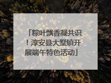 粽叶飘香凝共识！淳安县大墅镇开展端午特色活动