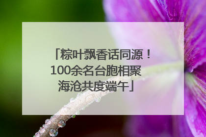 粽叶飘香话同源！100余名台胞相聚海沧共度端午