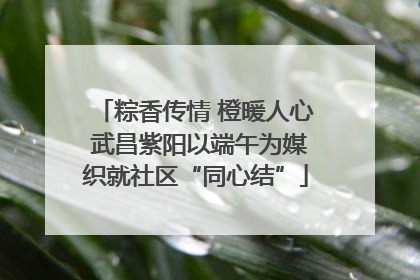粽香传情 橙暖人心 武昌紫阳以端午为媒织就社区“同心结”