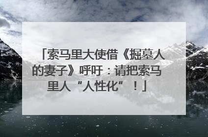索马里大使借《掘墓人的妻子》呼吁：请把索马里人“人性化”！