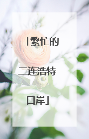 繁忙的二连浩特口岸