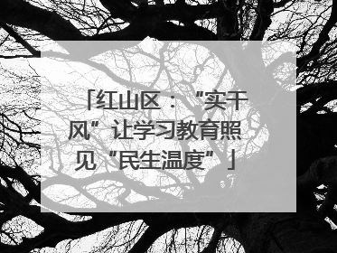 红山区:“实干风”让学习教育照见“民生温度”