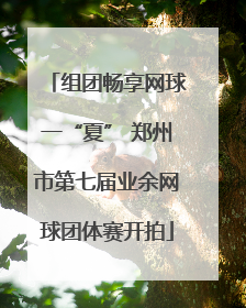 组团畅享网球一“夏” 郑州市第七届业余网球团体赛开拍