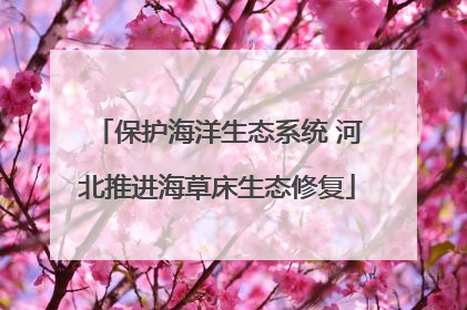 保护海洋生态系统 河北推进海草床生态修复