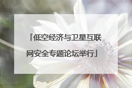 低空经济与卫星互联网安全专题论坛举行