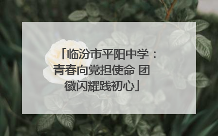 临汾市平阳中学：青春向党担使命 团徽闪耀践初心