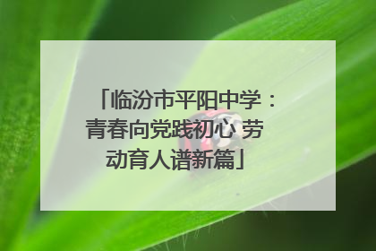临汾市平阳中学：青春向党践初心 劳动育人谱新篇